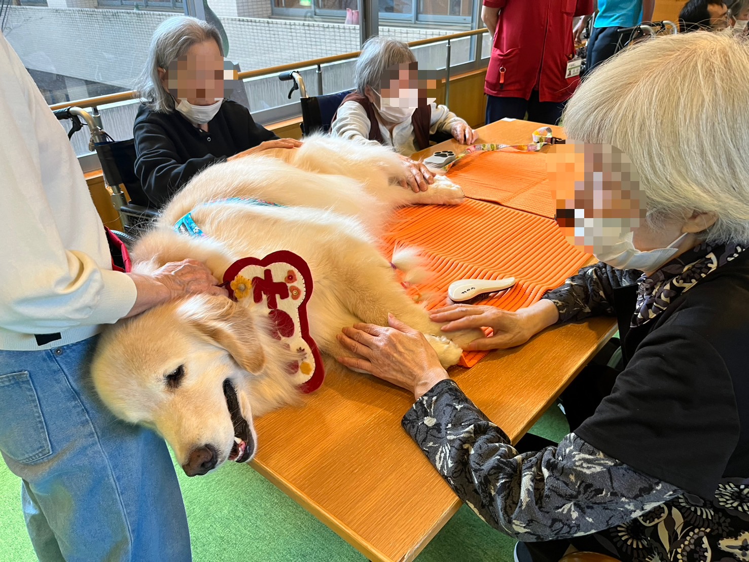 社会医療法人　ONE FLAG